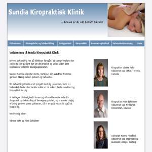 Sundia Chiropractic Clinic
